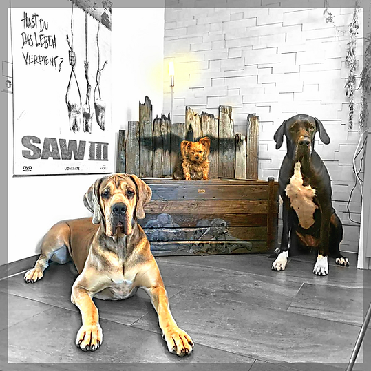 DoggsBox, Altholz Bar für Doggen, MonoInc Logo und Totenköüfen.png