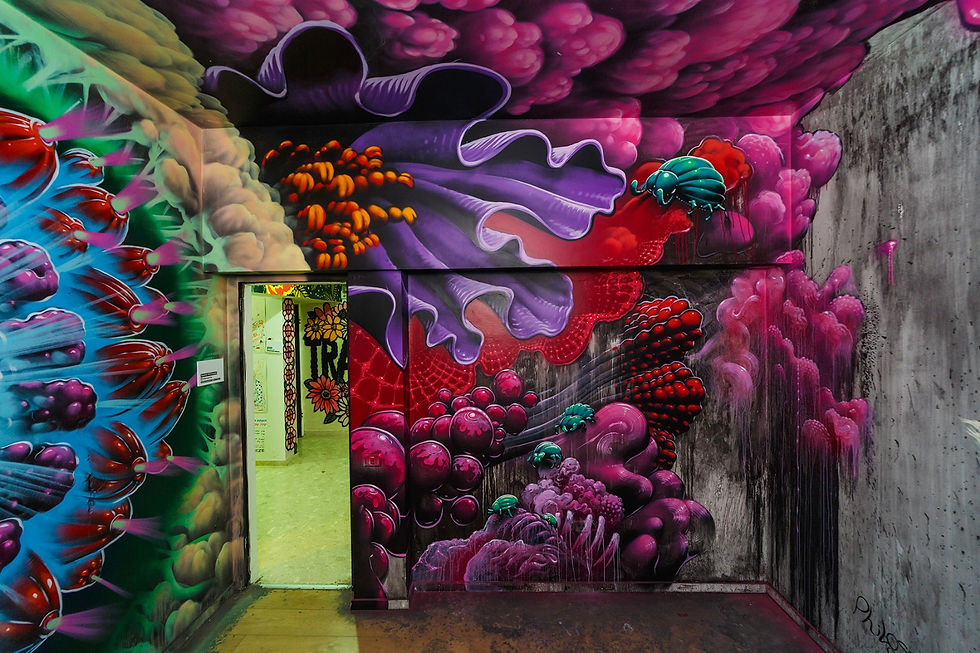 room1-1.jpg