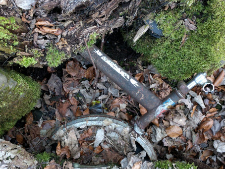 Was man nicht alles findet im Wald!