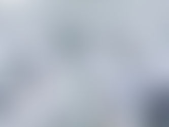 The Semiconductor Fab: How to Put On a Bunny Suit