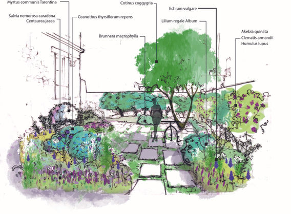 Jardin graphique en camaïeu de bleus adapté aux terrains sableau
