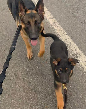 60988468_1154015178102730_65068657339290