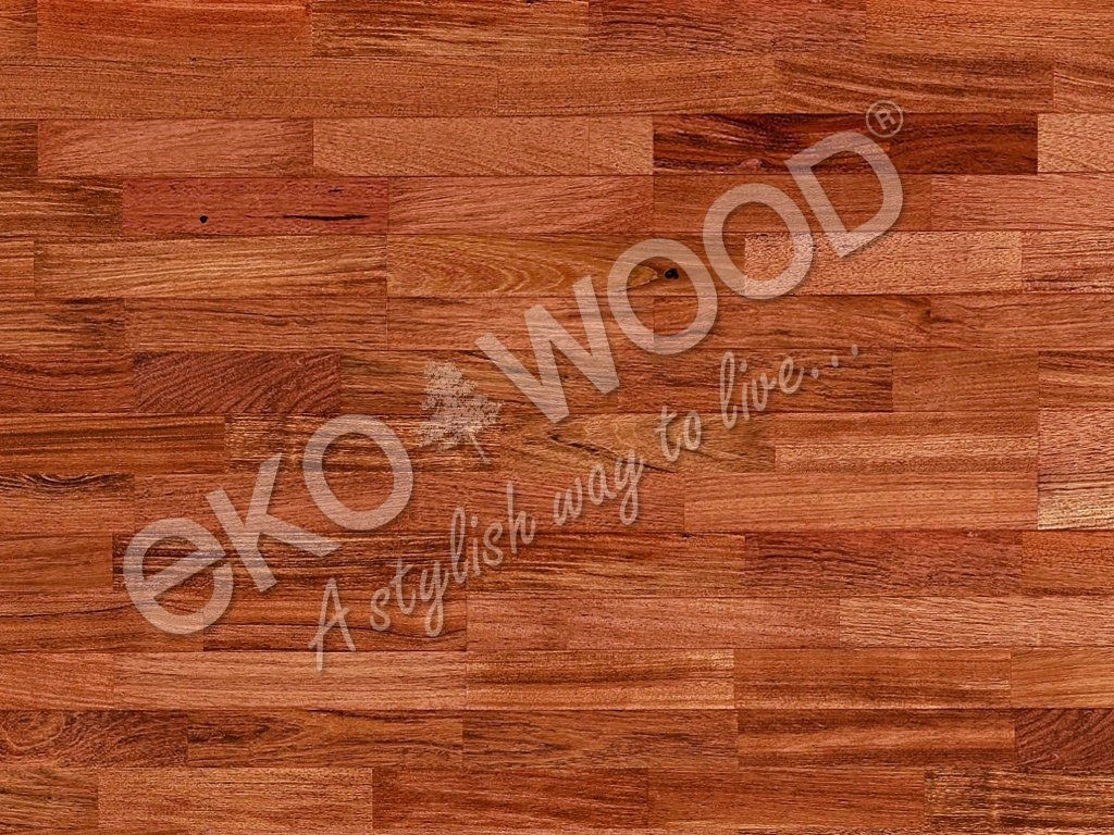 JATOBA - 3-pásové prevedenie