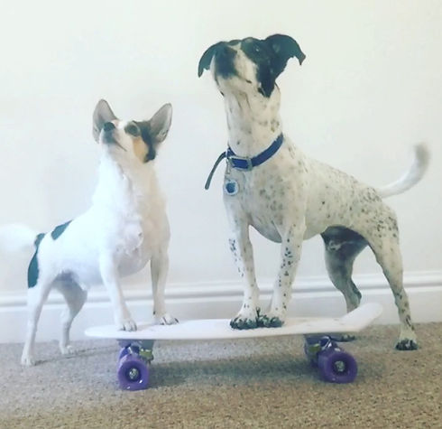 badge and alfie.jpeg