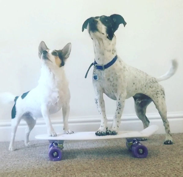 badge and alfie.jpeg