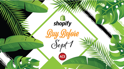 Summer Offer ending soon: Shopify-ACE Price Increase Ahead