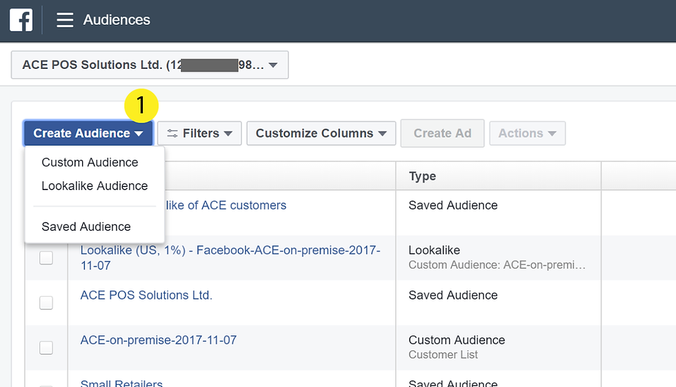 Creating a Custom Audience in Facebook Ads Manager