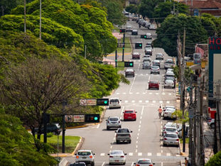 Campo Grande lidera ranking das capitais mais arborizadas do Brasil, aponta IBGE