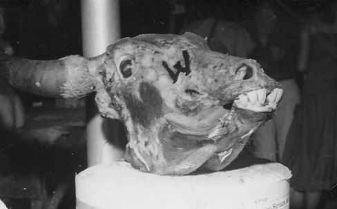 WhatsApp Image 2024-08-27 at 16.45_edited.jpg