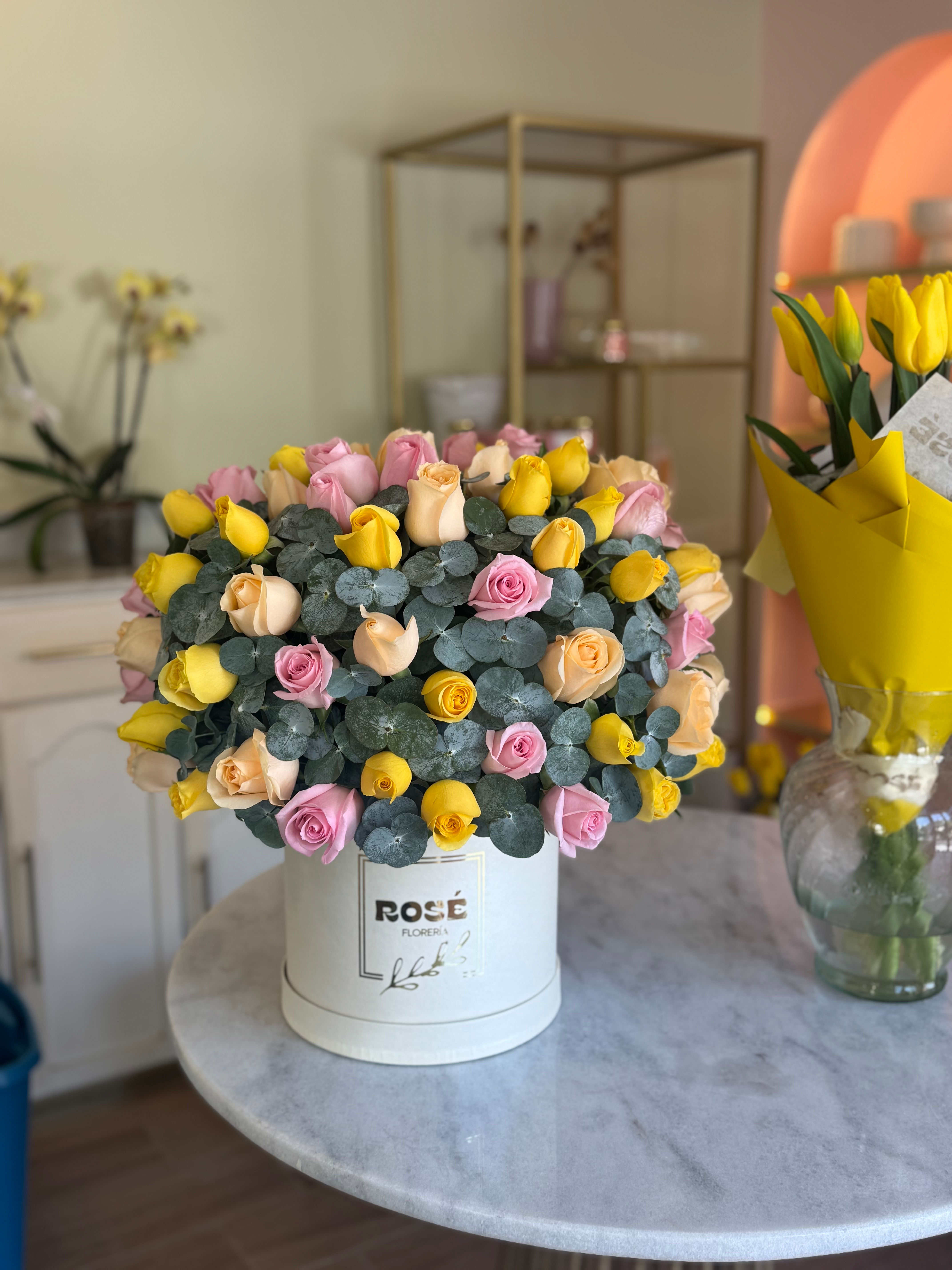 Box Domo con Follaje