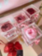 Miniatura: Peonia Eterna