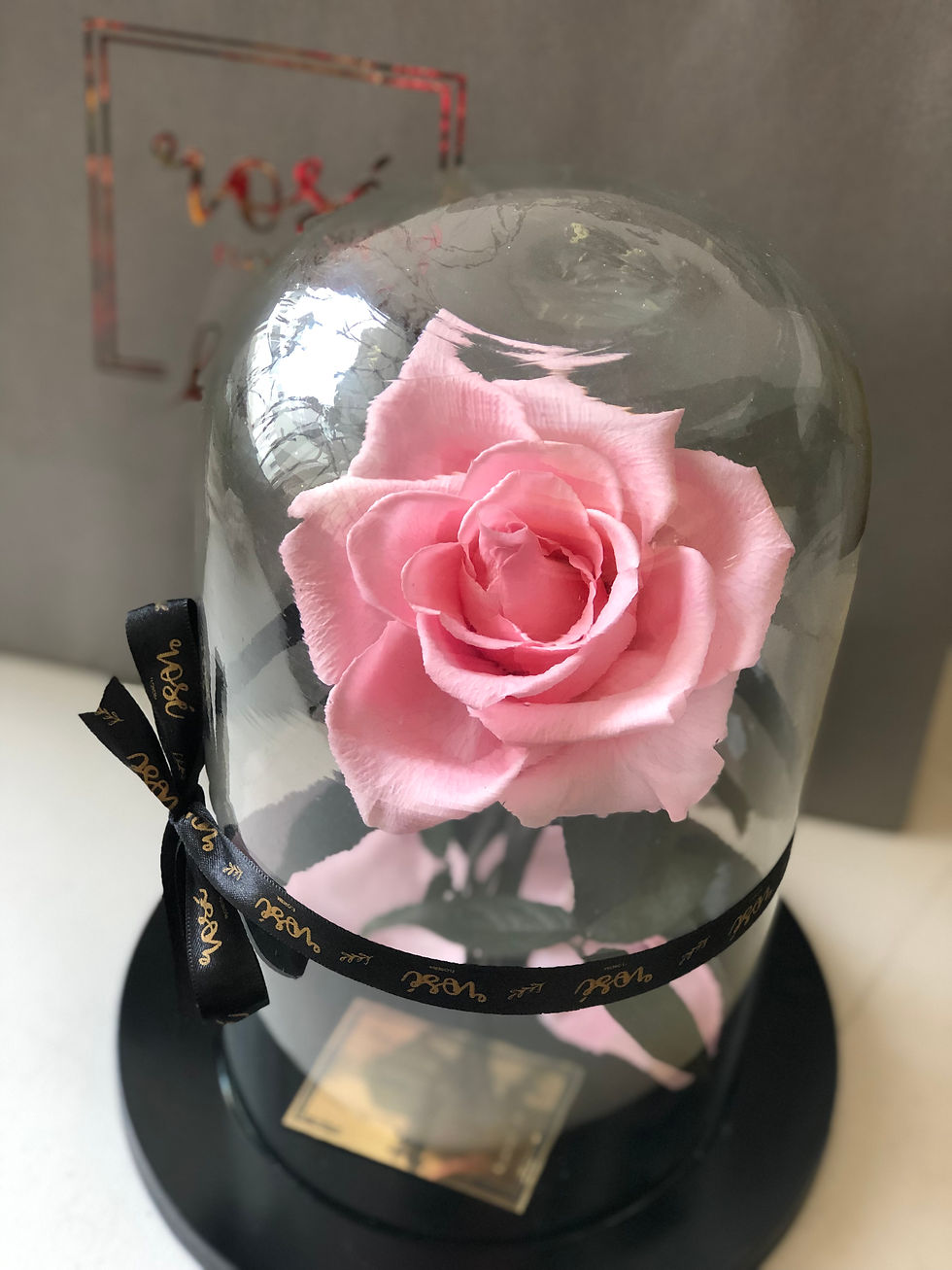 Miniatura: Rosa Eterna