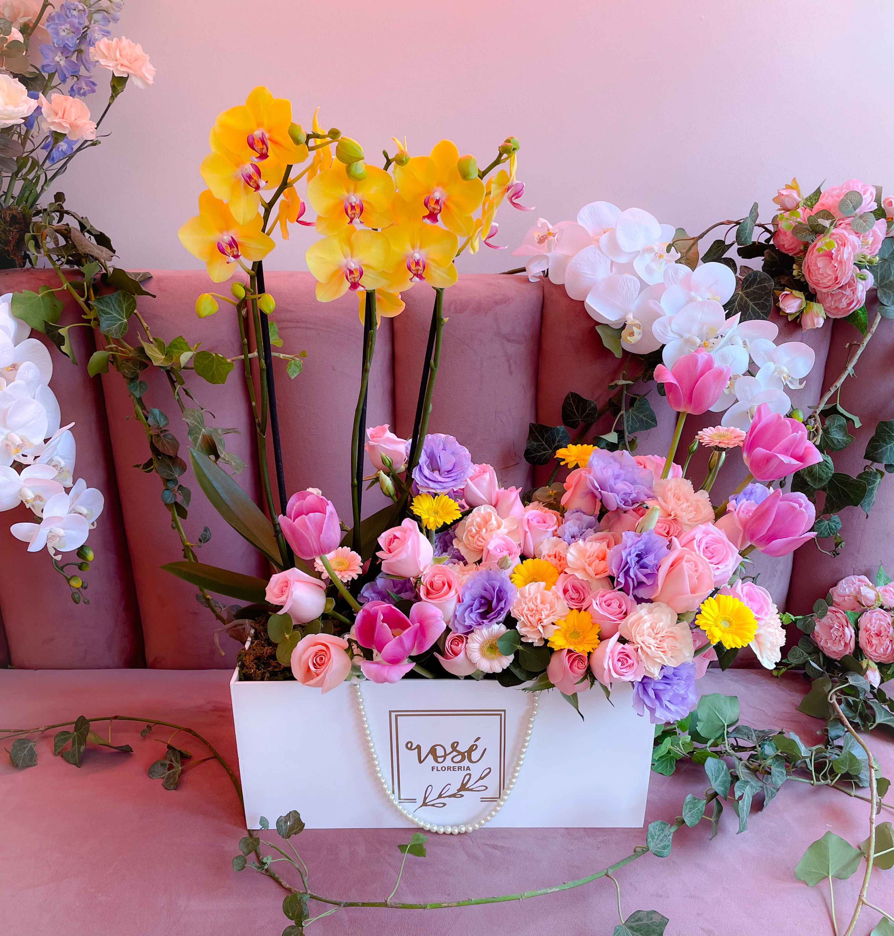 The Queen of my Heart 