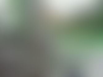 Sparrows Early Learning Centre