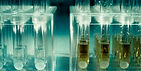 AIDS - HIV TIMELINE