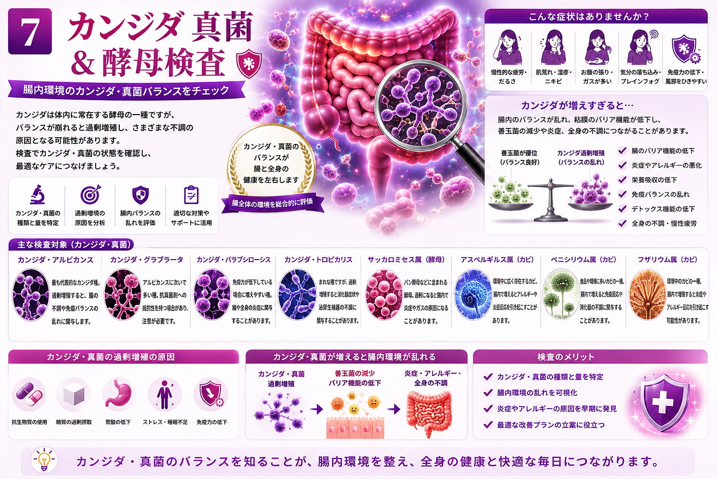 カンジダ真菌検査.png