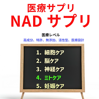 NADHサプリ 特許医療、活性型NADHサプリ 600個