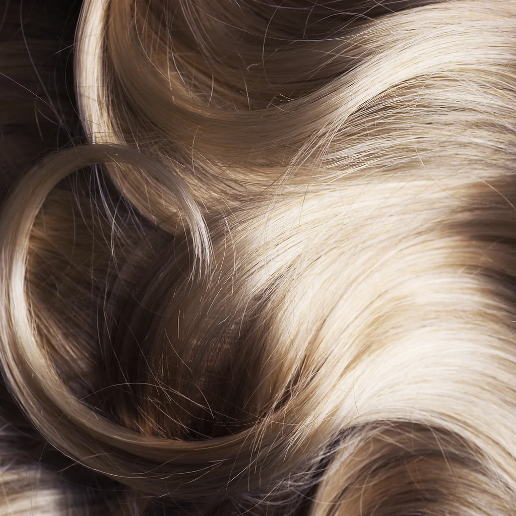 salon21 salon21