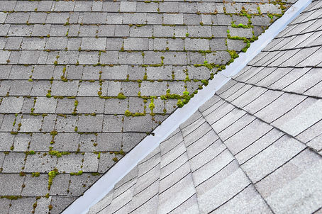 Roof Cleaning