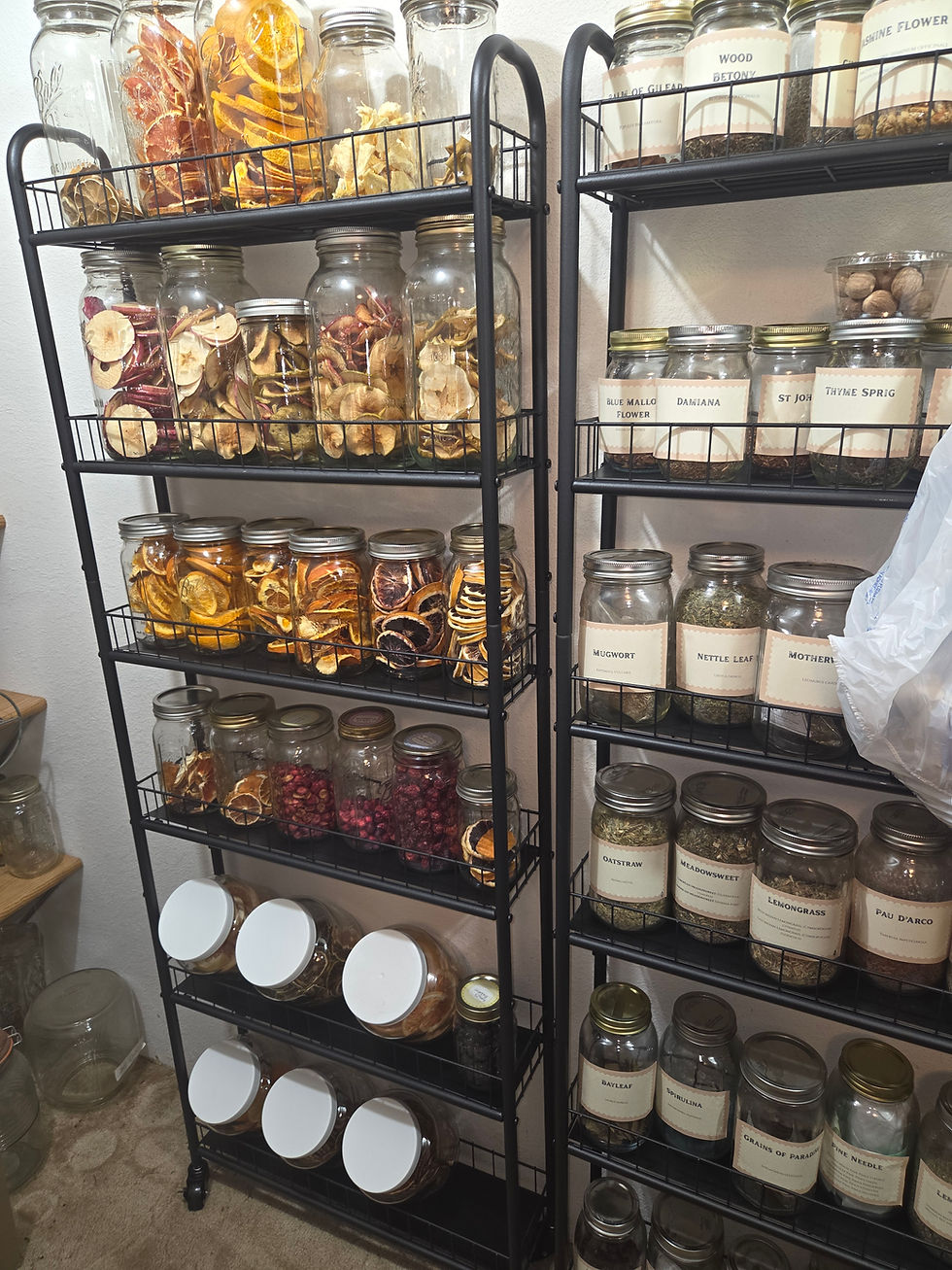 A well-organized pantry featuring neatly labeled jars filled with an assortment of dried fruits, herbs, and spices.