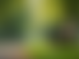 Why Prioritizing Mental Health Awareness Matters