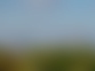 There's More Than The City