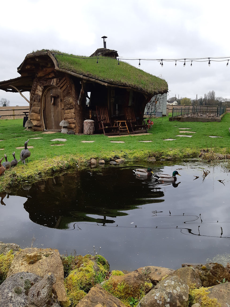 Unfenced Pond - HAZARD!