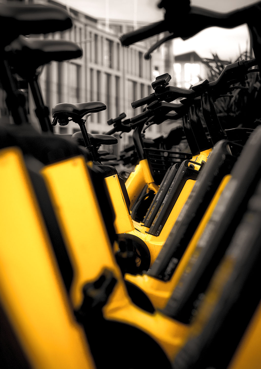Z634664 - Black & Yellow! Hire Bikes of St Helier, Jersey