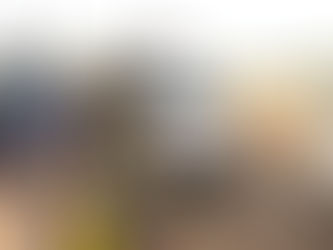 The Vermont National Guard's Senegalese Partnership