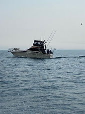 Salmon and Trout Charter, Chicago