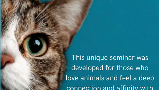 Animal Seminar - hetaHealing