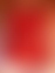 『 Regalo 』の存在感