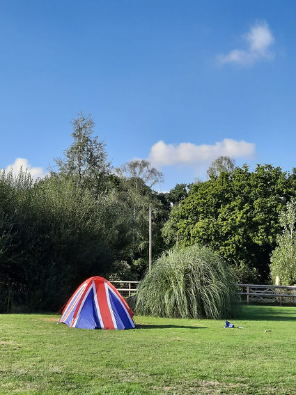 WhatsApp Image 2024-02-28 at 15.29.35.jpeg