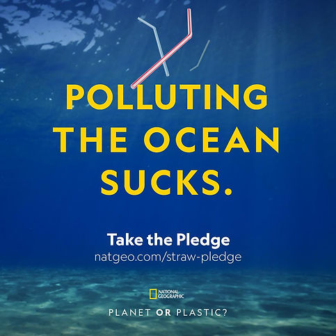 STRAWS OCEAN.jpeg