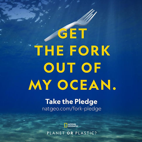 FORK OCEAN.jpeg