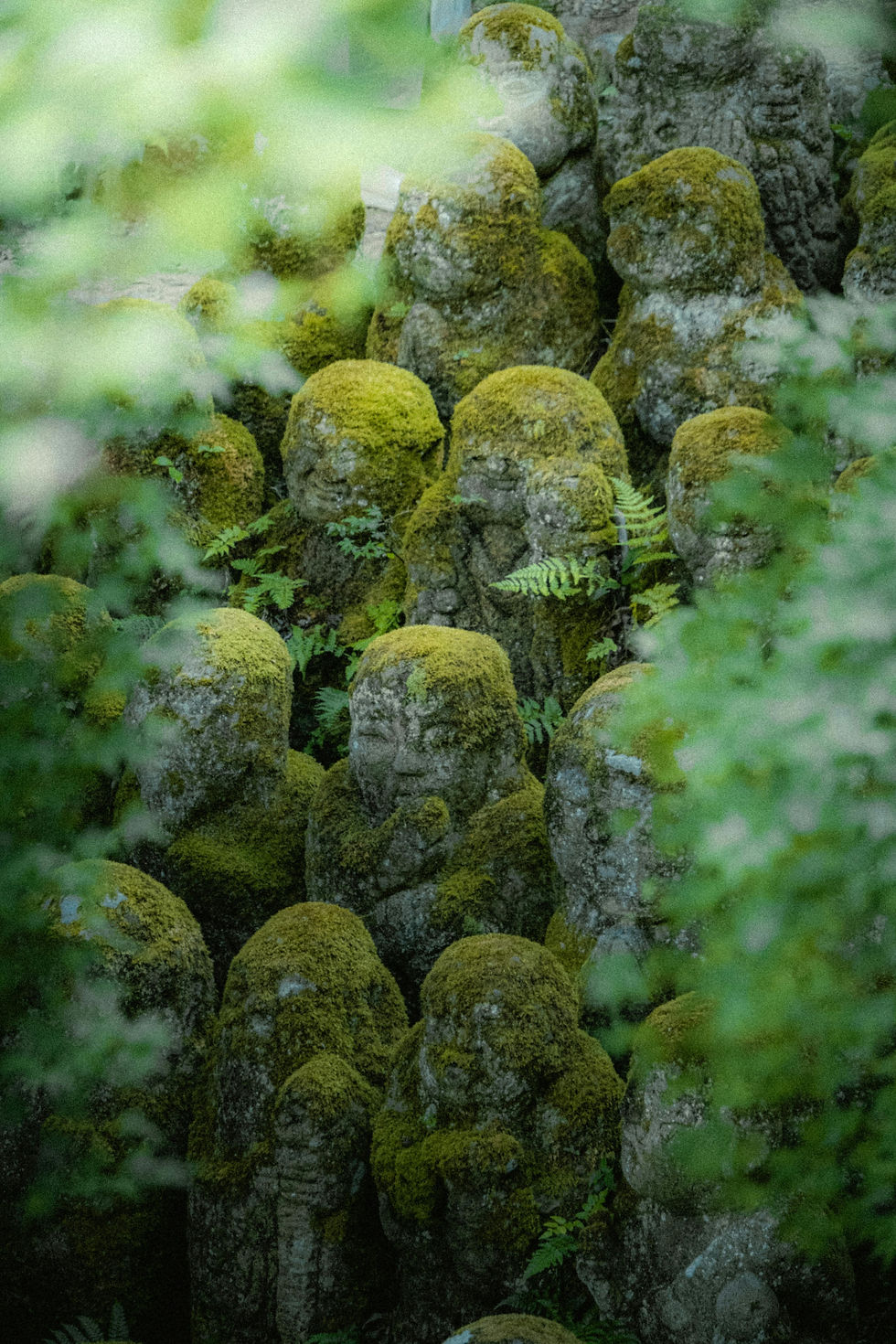 Bild von Statuen im Wald