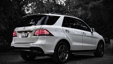 Overall 100% would go back :)