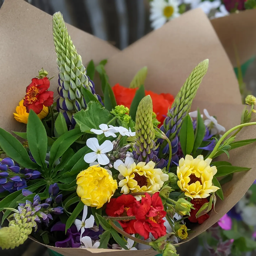 Welsh Flowers Gardd Delyn Flowers Wales