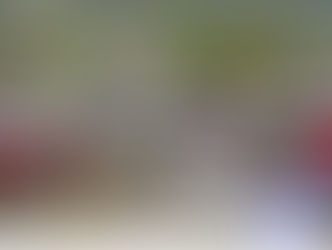 Haïti : retour sur une crise aux multiples facettes