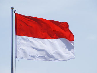 Coopération franco-indonésienne : entre ambitions militaires et influence régionale