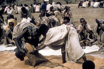 Éthiopie : une crise sécuritaire et humanitaire qui perdure