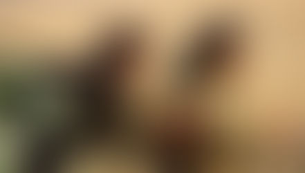 De la guerre à la paix : les femmes kurdes prennent leur destin en main