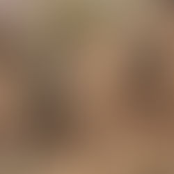 Repenser la mobilisation militaire française face aux conflits de haute intensité