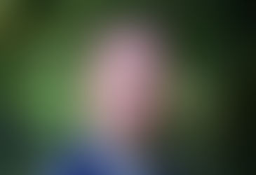 Réarmement et autres priorités : quels financements pour préparer 2030 ?