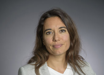 Vers une approche globale de la gestion de crise