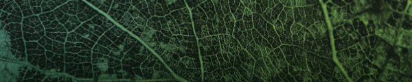 AchetezPremium_600x120.gif