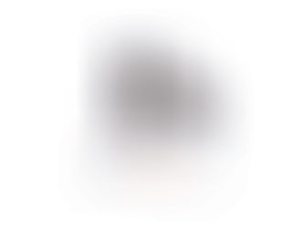 Identité numérique & contrôle aux frontières