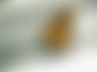 Écologie et environnement : les mauvais élèves de la sécurité internationale ?