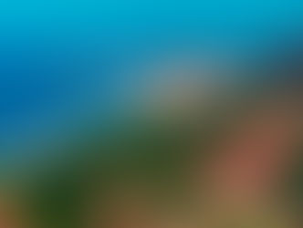 Setting the Pace in the Brazilian Radio Communications Market