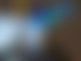 L’éternel combat contre la fraude